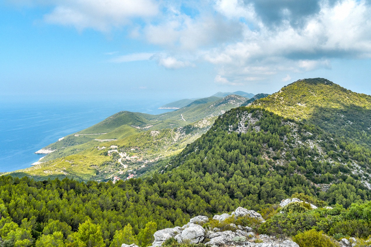 Bewaldete Berglandschaft der Insel Mljet mit Blick über die Adria